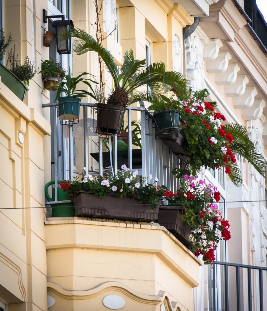 Balkon i domowe rośliny pod kontrolą - jak nie dopuścić do plagi szkodników?