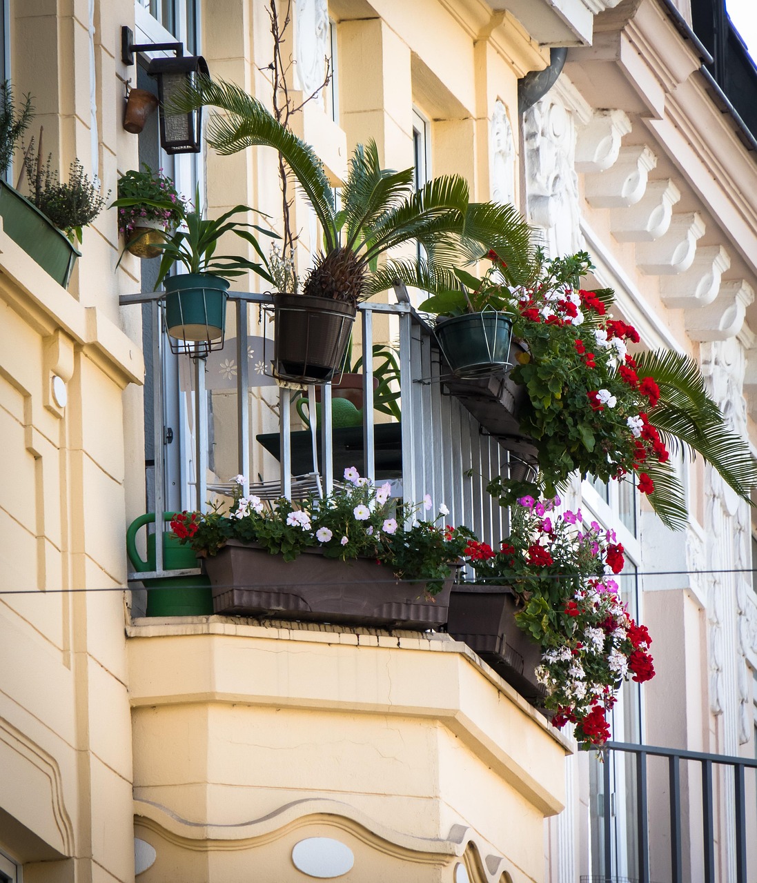 Balkon i domowe rośliny pod kontrolą - jak nie dopuścić do plagi szkodników?